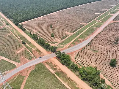Governo de MS e Suzano firmam parceria para recuperar 378 km de rodovias em MS