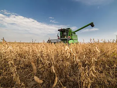 PIB de MS cai 0,3% em 2015, mas é o melhor resultado do país, aponta IBGE