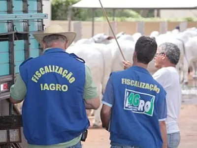 MAPA atende segundo termo aditivo e libera mais 2,84 milhões para a Iagro