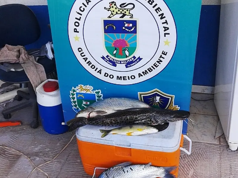 PMA prende pescador do PR com 30 kg de pescado fora da medida