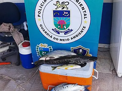 PMA prende pescador do PR com 30 kg de pescado fora da medida