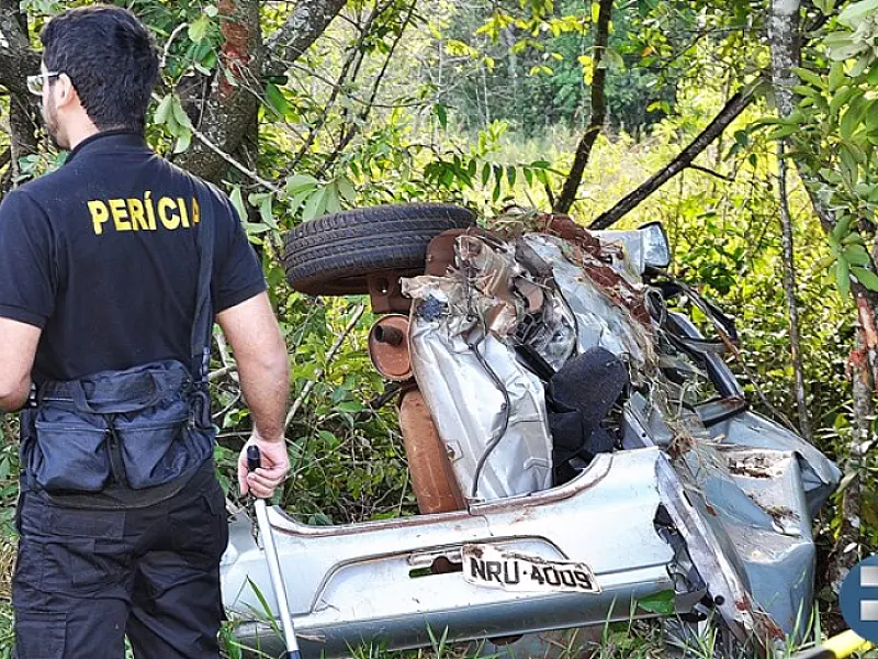 Animal atravessa pista, provoca grave acidente e motorista morre na MS-162