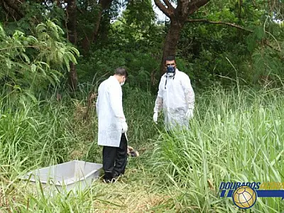 Polícia prende assassinos de mulher encontrada às margens de rodovia