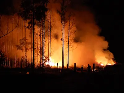Incêndio de grande proporção atinge o lixão de Batayporã