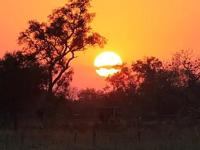 Umidade do ar atinge 15% na Região Norte de Mato Grosso do Sul