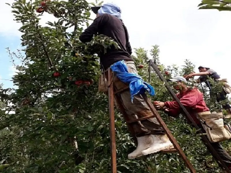 Mais de 100 mil trabalhadores foram atendidos pela Funtrab em 2021
