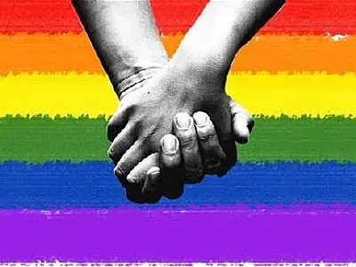 Decisão favorável para união homoafetiva pode reverter restrição de 111 direitos