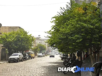Com meta de plantar 5 mil mudas, Fundação desenvolve projeto “Adote uma árvore”