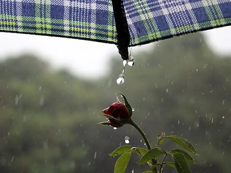 Chuva no final de semana pode atingir 50 mm ao dia e temperaturas não devem passar dos 30°C 
