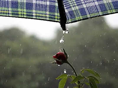 Chuva no final de semana pode atingir 50 mm ao dia e temperaturas não devem passar dos 30°C 
