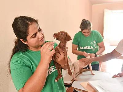 Subea leva atendimento veterinário itinerante para Anhanduí e Itamaracá