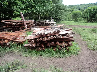 PMA autua fazendeiro por exploração ilegal de madeira em Bodoquena
