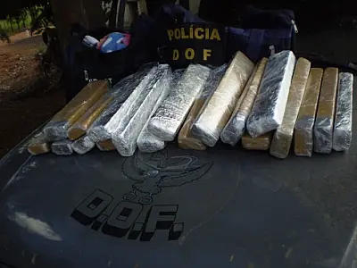 DOF apreende bolsa recheada de maconha em ônibus na BR 463