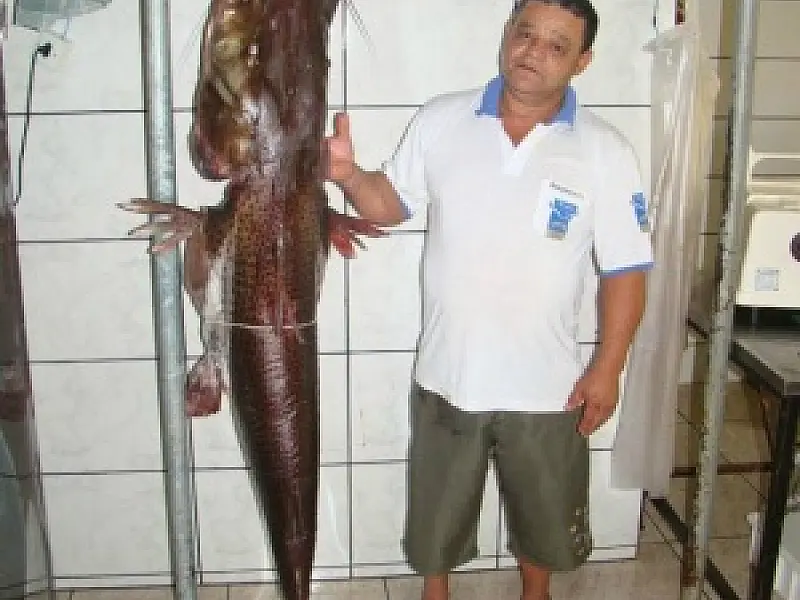 Pescador fisga exemplar de 1,70m no rio Dourados