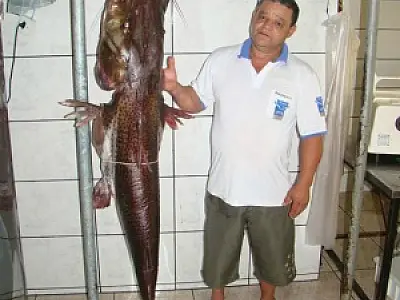Pescador fisga exemplar de 1,70m no rio Dourados
