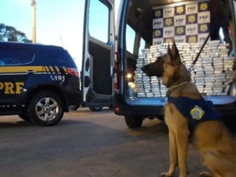 PRF apreende furgão com aproximadamente 200 kg de cocaína na BR-267
