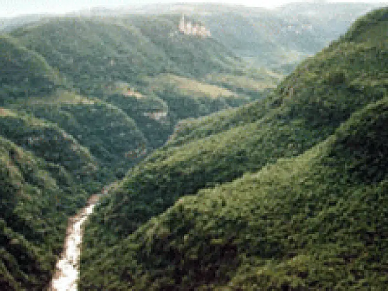 Mata Atlântica perdeu 30 mil campos de futebol de floresta em dois anos