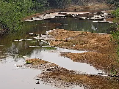 Com mais baixa estação chuvosa em 10 anos, Pantanal já tem 80% das propriedades afetadas

