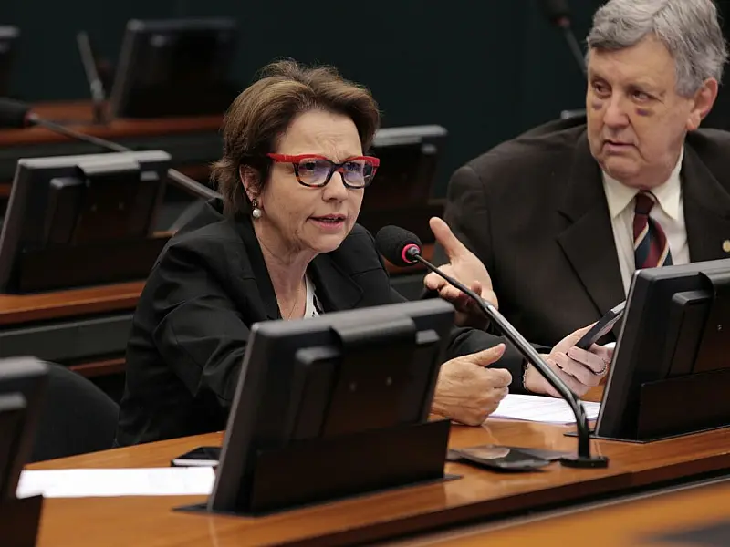 Preocupada com conflitos indígenas Tereza Cristina cobra da União solução para áreas invadidas em MS