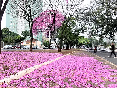 Primavera começa hoje à tarde