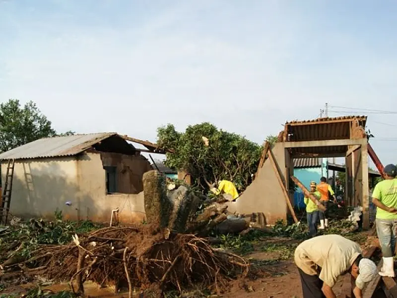 Durante vendaval em Caarapo, árvore cai em cima de residência em residência