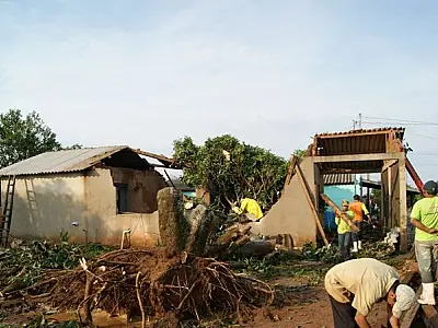 Durante vendaval em Caarapo, árvore cai em cima de residência em residência