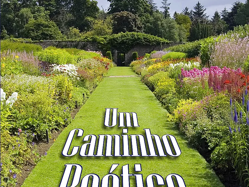 “Um caminho poético” será lançado hoje no Espaço da Poesia