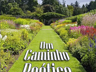 “Um caminho poético” será lançado hoje no Espaço da Poesia