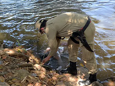 Corpo de homem é encontrado boiando no rio Taquari, em Coxim