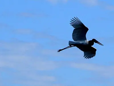 Temperaturas começam a cair a partir deste domingo em Mato Grosso do Sul
