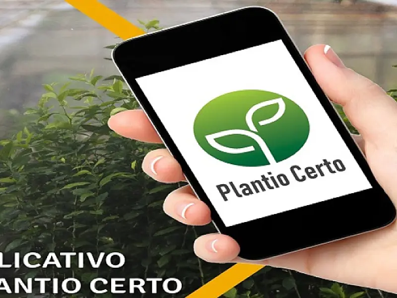 Mapa publica Zoneamento Agrícola de Risco Climático para o cultivo do feijão em Mato Grosso do Sul