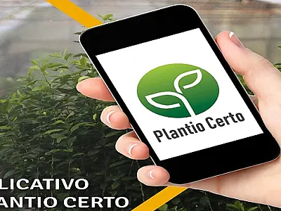 Mapa publica Zoneamento Agrícola de Risco Climático para o cultivo do feijão em Mato Grosso do Sul