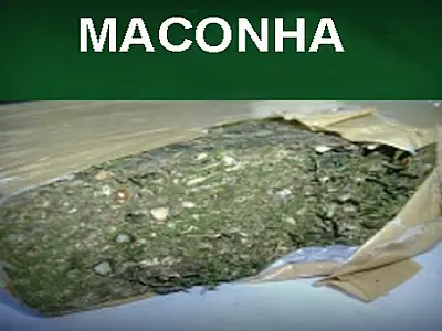 Justiça nega liberdade a acusado de transportar mais de 8 kg de maconha