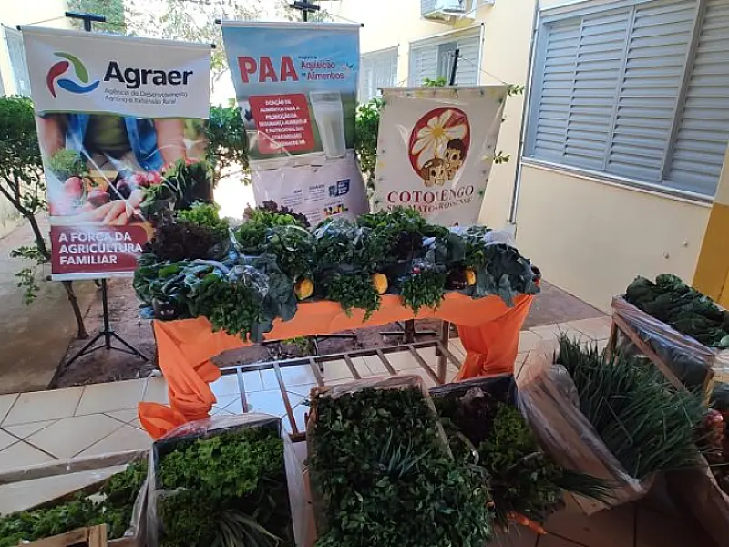 Agricultores familiares iniciam entrega de alimentos no Cotolengo em Campo Grande