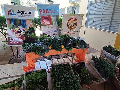 Agricultores familiares iniciam entrega de alimentos no Cotolengo em Campo Grande