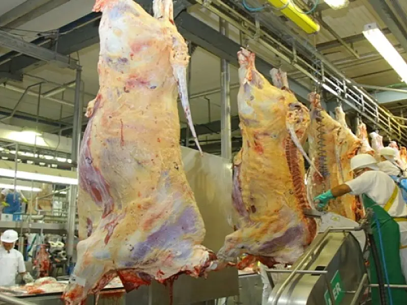 Precoce MS cumpre seu papel, e contribui para carne do Estado ser reconhecida como a melhor do país
