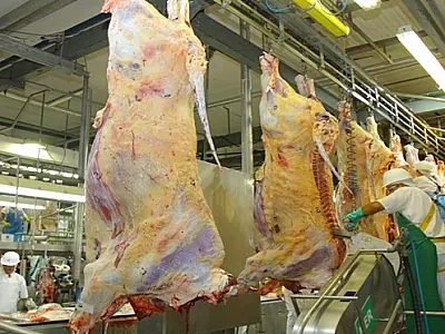 Precoce MS cumpre seu papel, e contribui para carne do Estado ser reconhecida como a melhor do país
