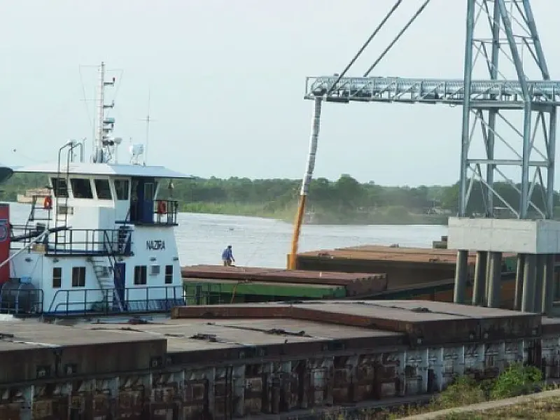 Volume de exportações de MS em janeiro é 93,29% maior em comparação ao ano passado