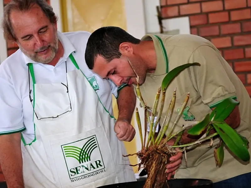 Profissionais participam de capacitação de orquídeas em MS