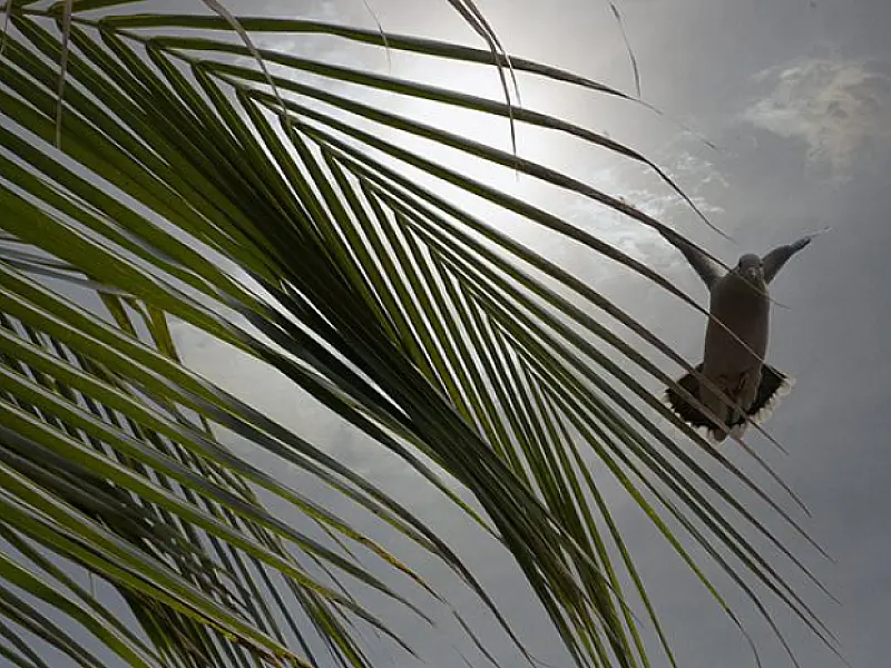 Semana de Páscoa terá nova frente fria com chuvas e temperaturas amenas
