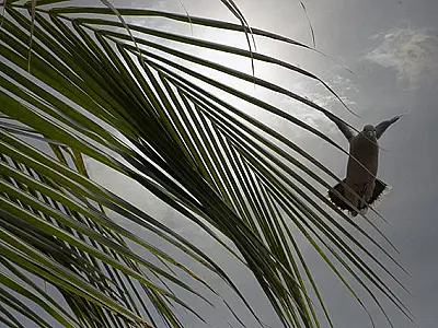 Semana de Páscoa terá nova frente fria com chuvas e temperaturas amenas
