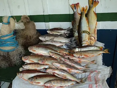 Esposa passa mal e pescador “escapa” de prisão em flagrante