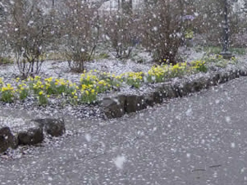 Neve é registrada nesta tarde no Sul do país