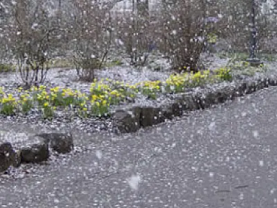 Neve é registrada nesta tarde no Sul do país
