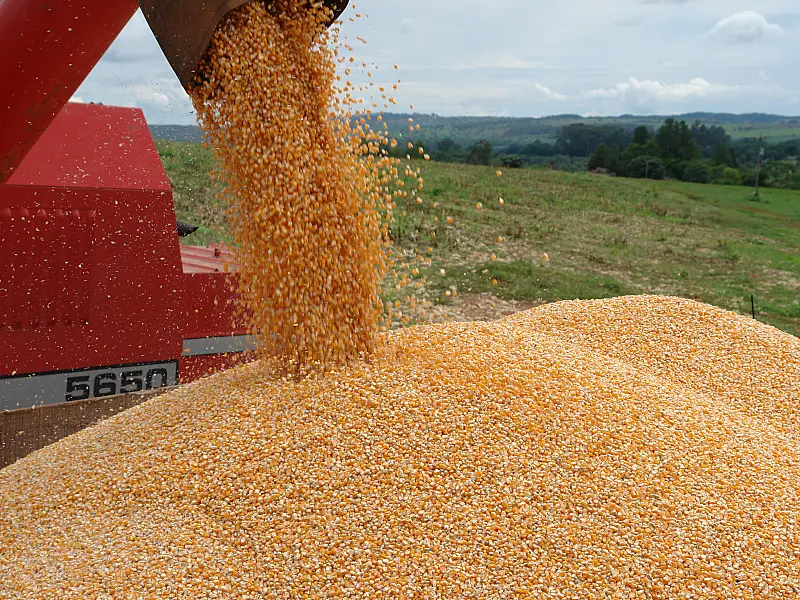 Agronegócio brasileiro terá faturamento de quase R$ 200 bi este ano