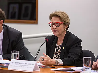 Tereza Cristina vai investir nos direitos e na participação da mulher no Congresso