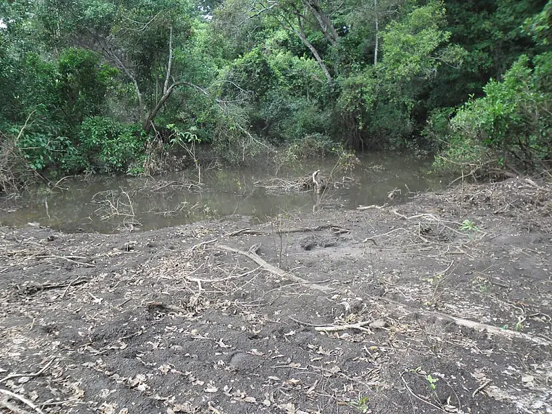 Campo-grandense é autuado por construir condomínio em área protegida em MS