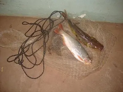 PMA prende pescador pescando com tarrafa em cachoeira do rio Aquidauana