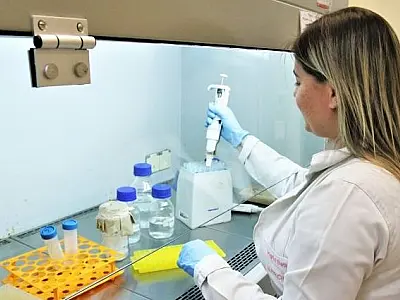 Mato Grosso do Sul é o Estado que mais investe em bolsas de doutorado
