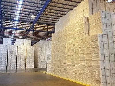 Balança comercial de Mato Grosso do Sul acumula superávit de US$ 3,8 bilhões no ano

